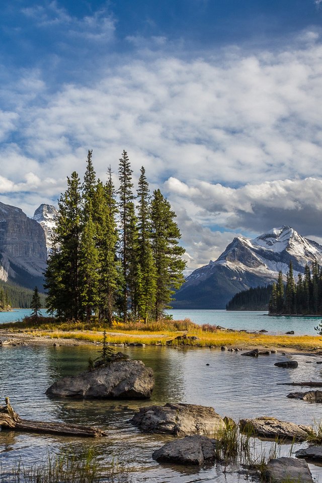 Обои деревья, озеро, пейзаж, национальный парк джаспер, maligne lake, trees, lake, landscape, jasper national park разрешение 3003x1805 Загрузить