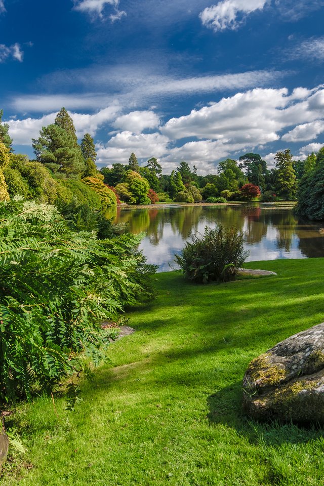 Обои небо, middle lake, sheffield park, трава, облака, деревья, озеро, камни, пейзаж, осень, the sky, grass, clouds, trees, lake, stones, landscape, autumn разрешение 2048x1152 Загрузить