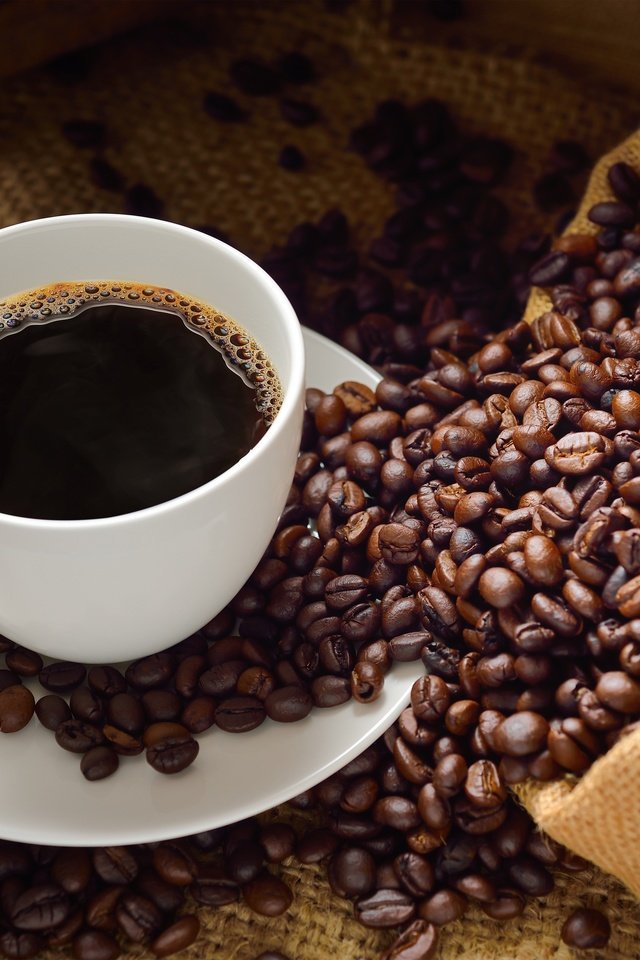 Обои кофе, чашки, водопой, кубок, зерна кофе, кофе в зернах, coffee, cup, drink, coffee beans, coffee bean разрешение 2880x1922 Загрузить