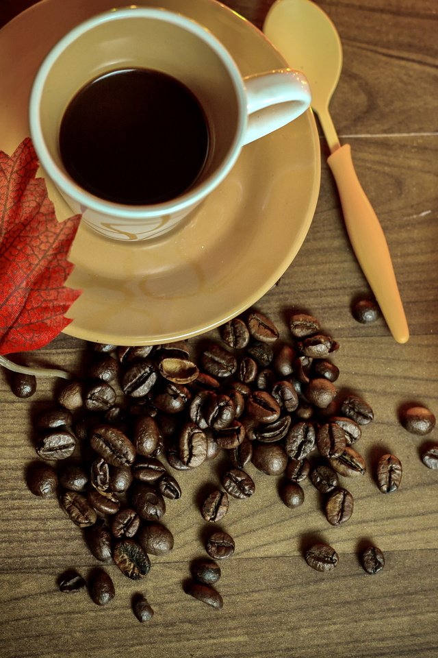Обои осень, кофе, чашка, книга, кубок, осен,  листья, бобы, autumn, coffee, cup, book, leaves, beans разрешение 5045x3363 Загрузить