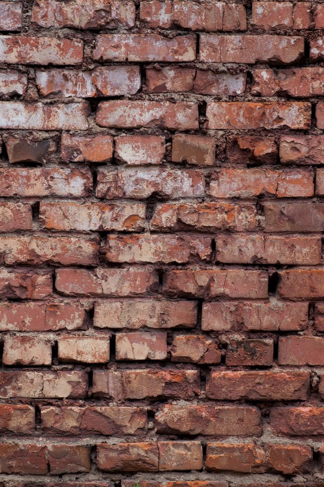 Обои красная, стена, кирпичи, краcный, red, wall, bricks разрешение 5616x3744 Загрузить