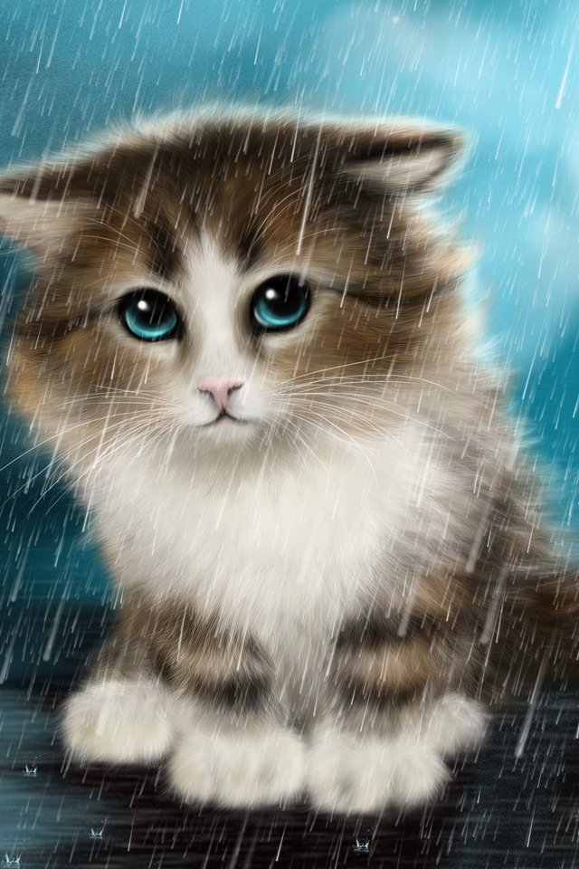 Обои арт, кот, мордочка, кошка, взгляд, котенок, капли дождя, под дождём, art, cat, muzzle, look, kitty, raindrops, in the rain разрешение 3032x1908 Загрузить