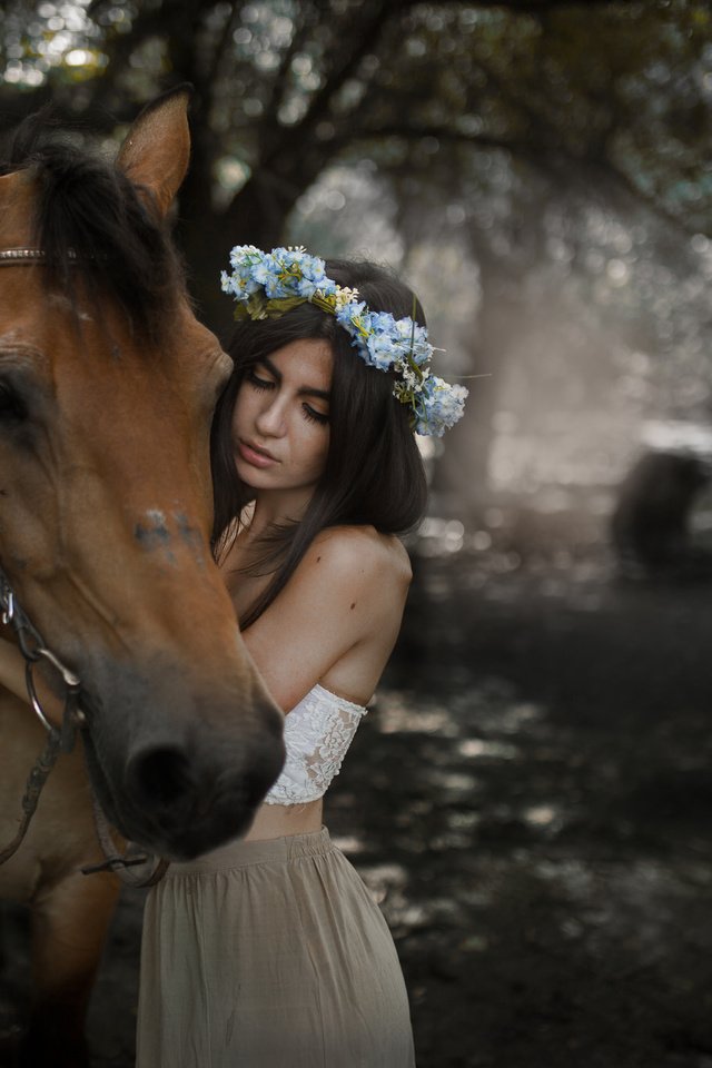 Обои лошадь, девушка, брюнетка, horse, girl, brunette разрешение 2048x1365 Загрузить