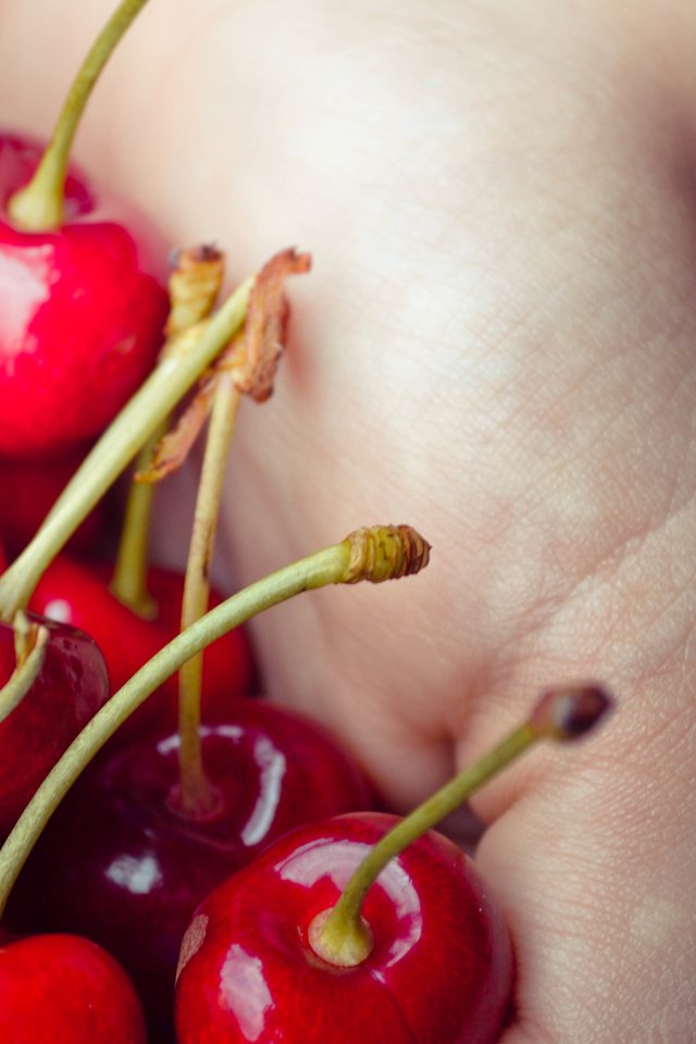Обои рука, черешня, ягоды, вишня, ладонь, hand, cherry, berries, palm разре...