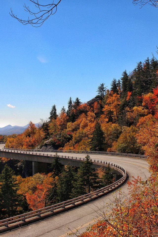 Обои мост, осень, северная каролина, деревья.пейзаж, bridge, autumn, north carolina, trees.landscape разрешение 2880x1920 Загрузить