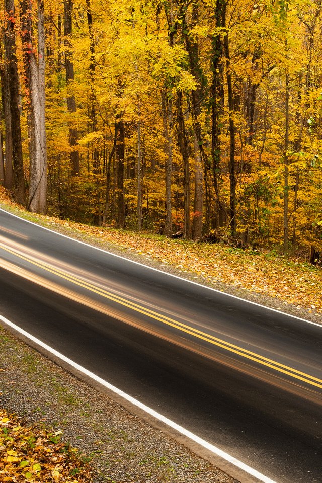 Обои дорога, деревья, природа, листья, парк, осень, road, trees, nature, leaves, park, autumn разрешение 2048x1294 Загрузить