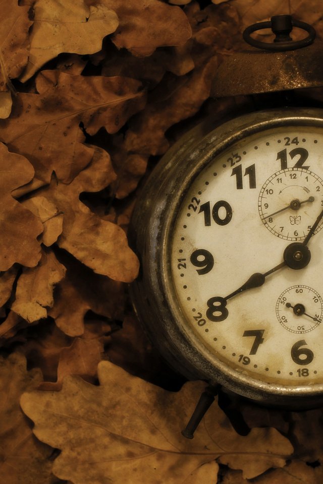 Обои листья, фон, часы, leaves, background, watch разрешение 2048x1365 Загрузить