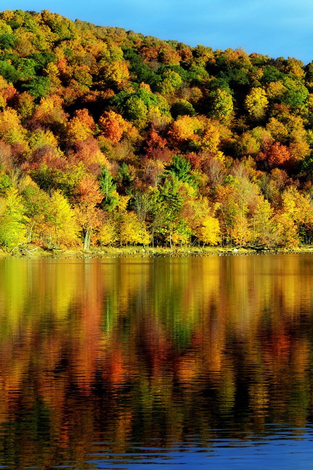 Обои деревья, вода, отражение, осень, красота, пейзаж. природа, время года, trees, water, reflection, autumn, beauty, landscape. nature, time of the year разрешение 2048x1356 Загрузить