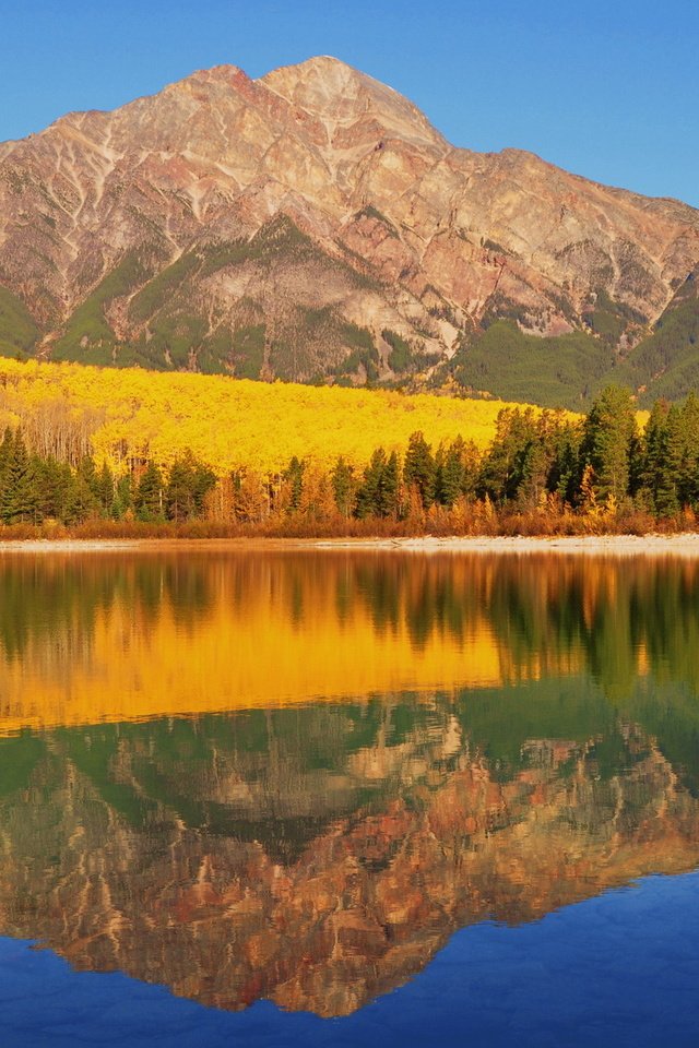 Обои озеро, рatricia lake, canadia, горы, берег, лес, отражение, осень, канада, национальный парк банф, lake, mountains, shore, forest, reflection, autumn, canada, banff national park разрешение 1920x1280 Загрузить