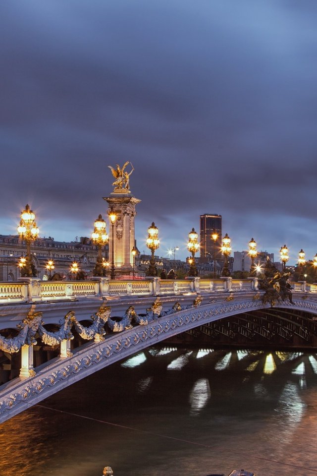 Обои ночь, огни, мост, город, париж, франция, night, lights, bridge, the city, paris, france разрешение 1920x1200 Загрузить