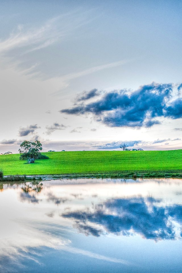 Обои небо, трава, облака, деревья, озеро, отражение, the sky, grass, clouds, trees, lake, reflection разрешение 2560x1440 Загрузить