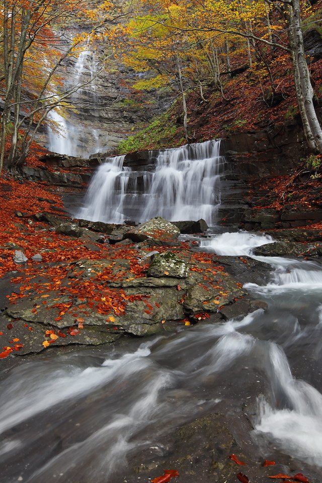 Обои река, природа, лес, водопад, осень, river, nature, forest, waterfall, autumn разрешение 1998x1334 Загрузить