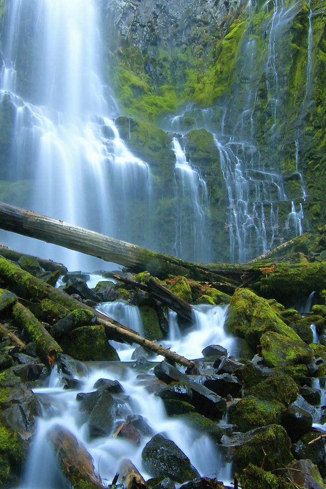 Обои камни, водопад, мох, бревна, орегон, каскад, stones, waterfall, moss, logs, oregon, cascade разрешение 2048x1365 Загрузить