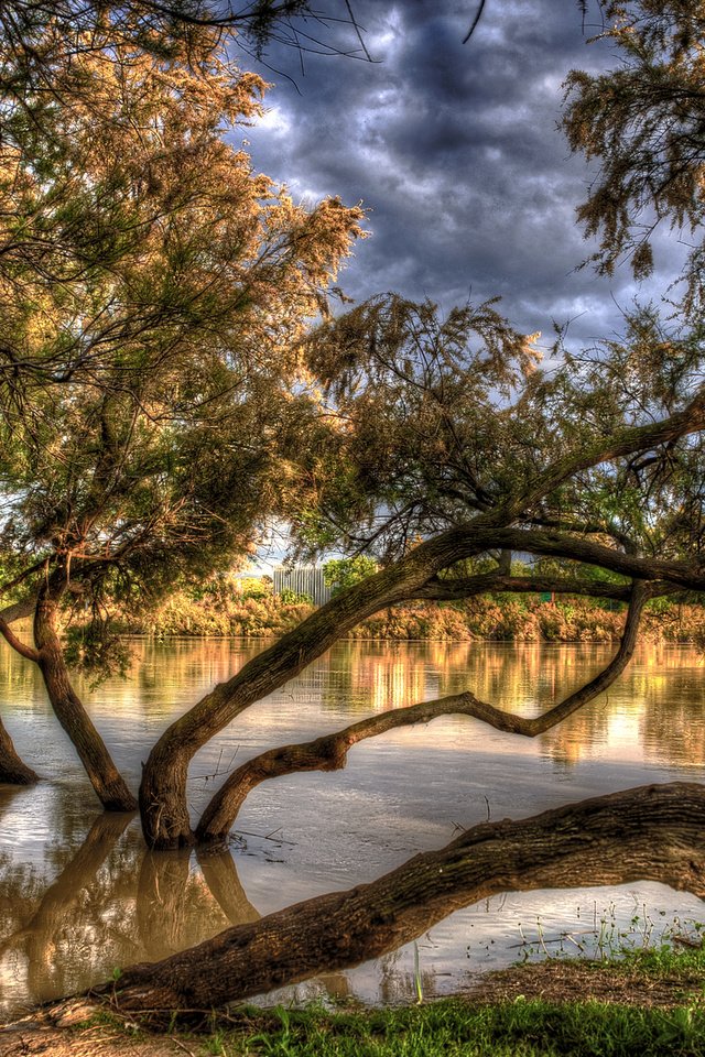 Обои деревья, река, осень, испания, hdr, в воде, aragon, сарагоса, trees, river, autumn, spain, in the water, zaragoza разрешение 2048x1365 Загрузить