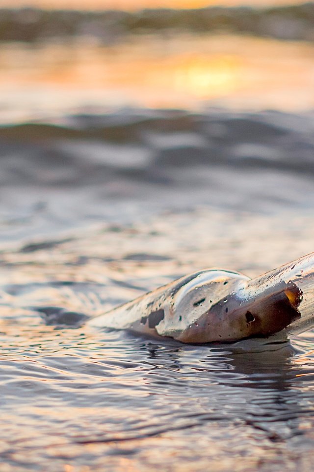 Обои море, послание, бутылка, сообщение, бутылек, sea, message, bottle разрешение 4855x2411 Загрузить