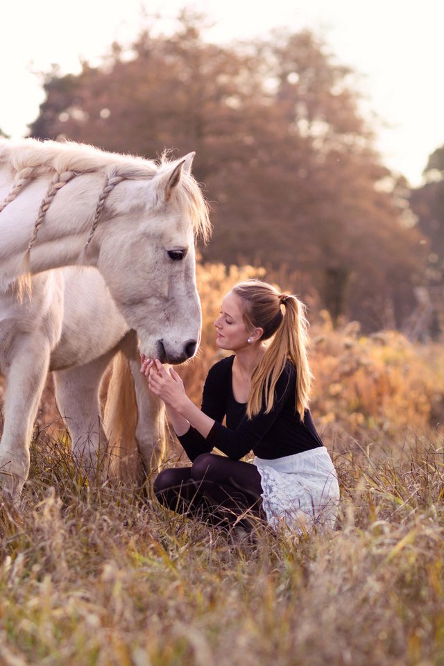 Обои природа, девушка, конь, nature, girl, horse разрешение 2048x1365 Загрузить