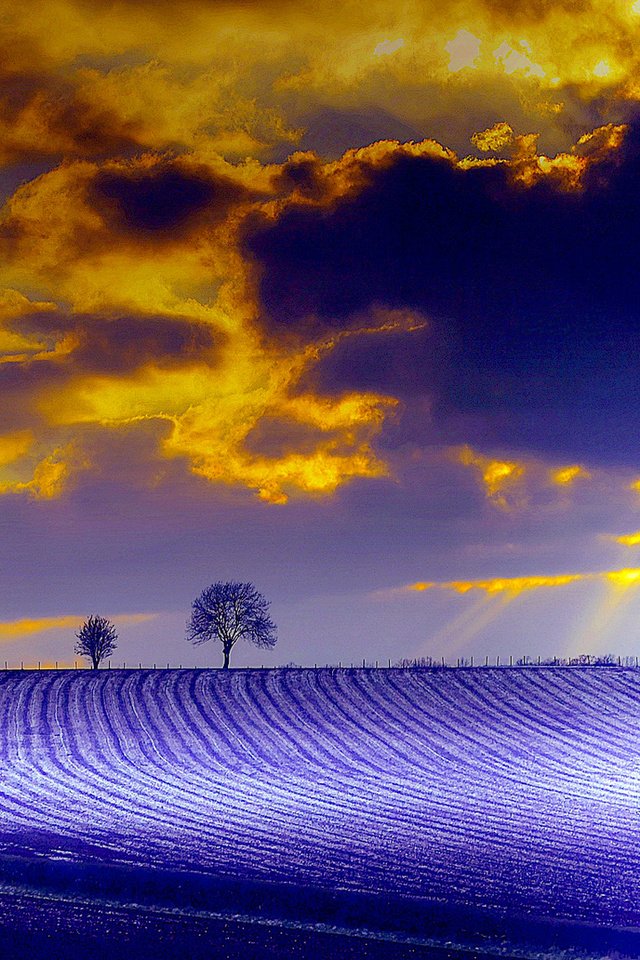 Обои природа, дерево, тучи, лучи, поле, краски, зарево, nature, tree, clouds, rays, field, paint, glow разрешение 1920x1080 Загрузить