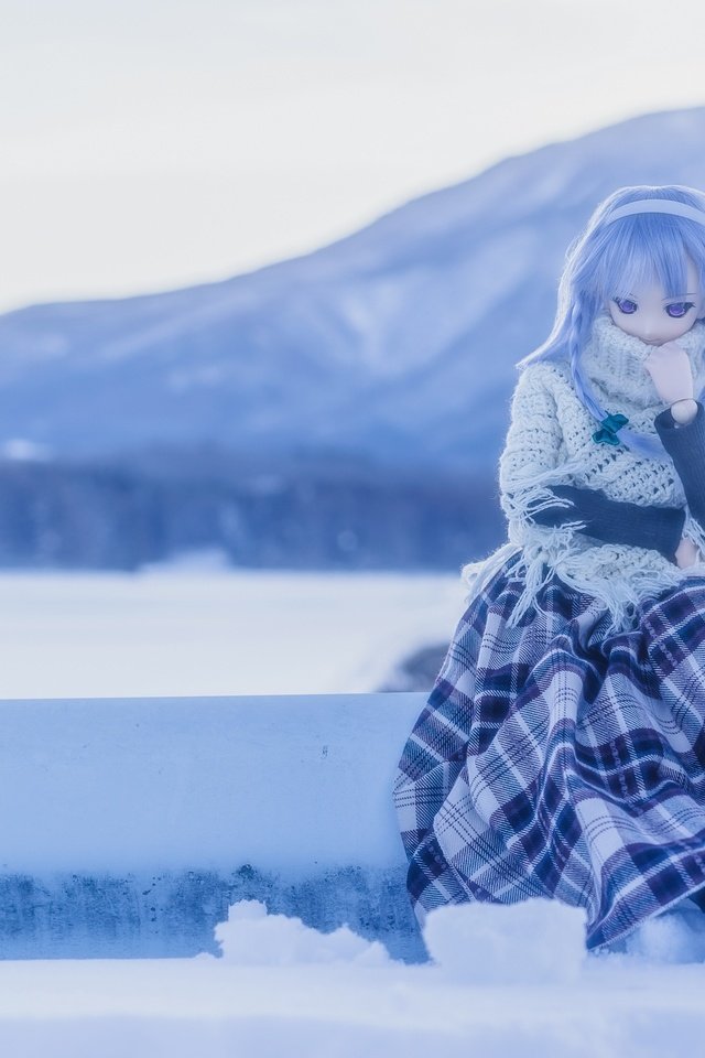 Обои природа, зима, игрушка, кукла, nature, winter, toy, doll разрешение 2880x1920 Загрузить