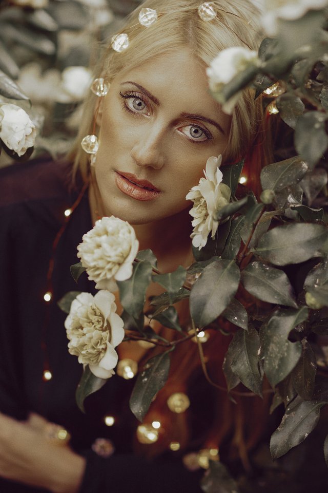 Обои глаза, цветы, девушка, фон, лето, волосы, лицо, eyes, flowers, girl, background, summer, hair, face разрешение 2048x1365 Загрузить