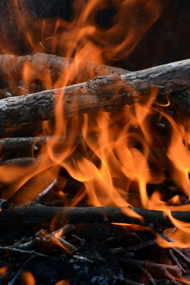 Обои огонь, костёр, хворост, fire, the fire, firewood разрешение 2400x1510 Загрузить