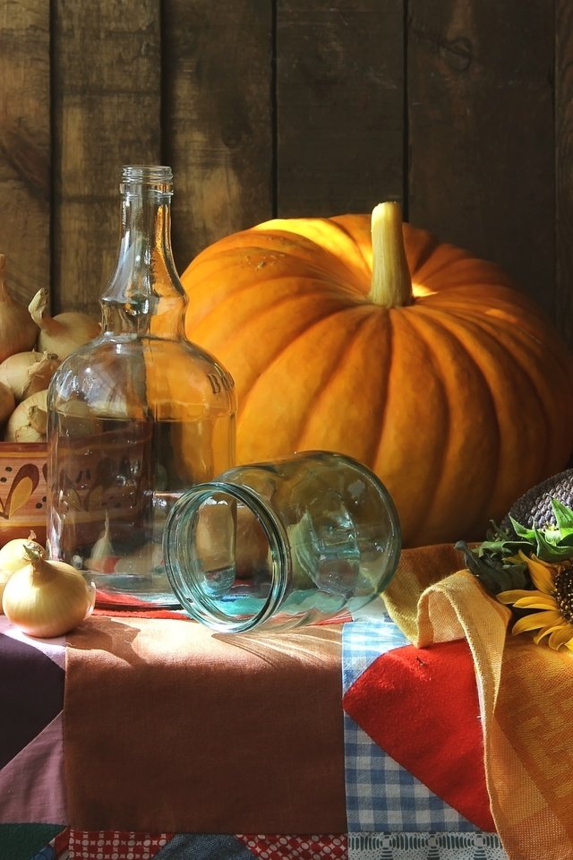Обои лук, бутылка, тыква, натюрморт, семечки, bow, bottle, pumpkin, still life, seeds разрешение 2400x1529 Загрузить