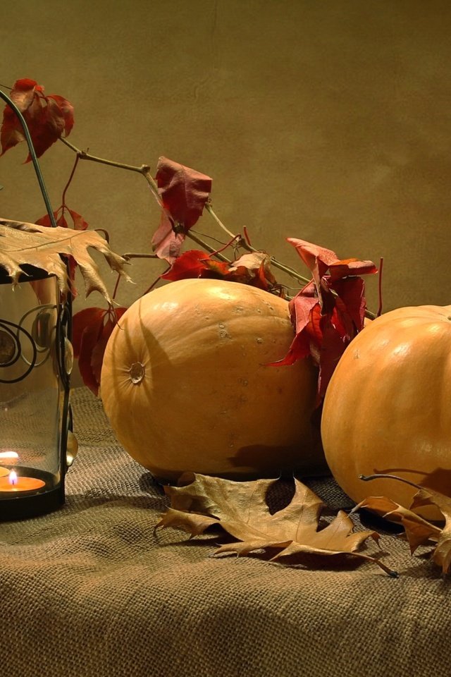 Обои листья, осень, фонарь, тыква, leaves, autumn, lantern, pumpkin разрешение 2000x1306 Загрузить