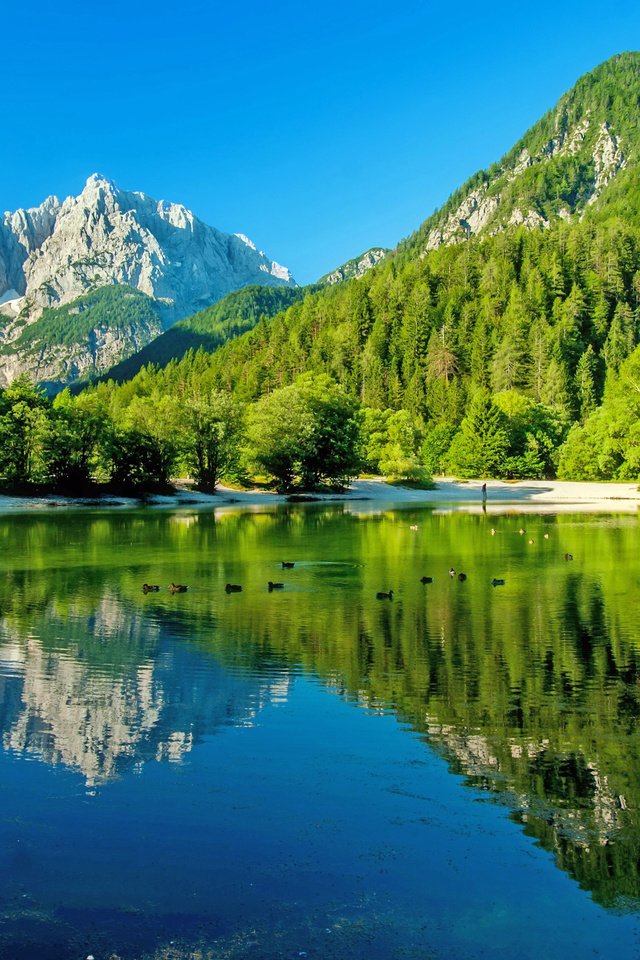 Обои горное озеро, деревь, ландшафт, валлпапер, mountain lake, trees, landscape, wallpaper разрешение 4100x2702 Загрузить