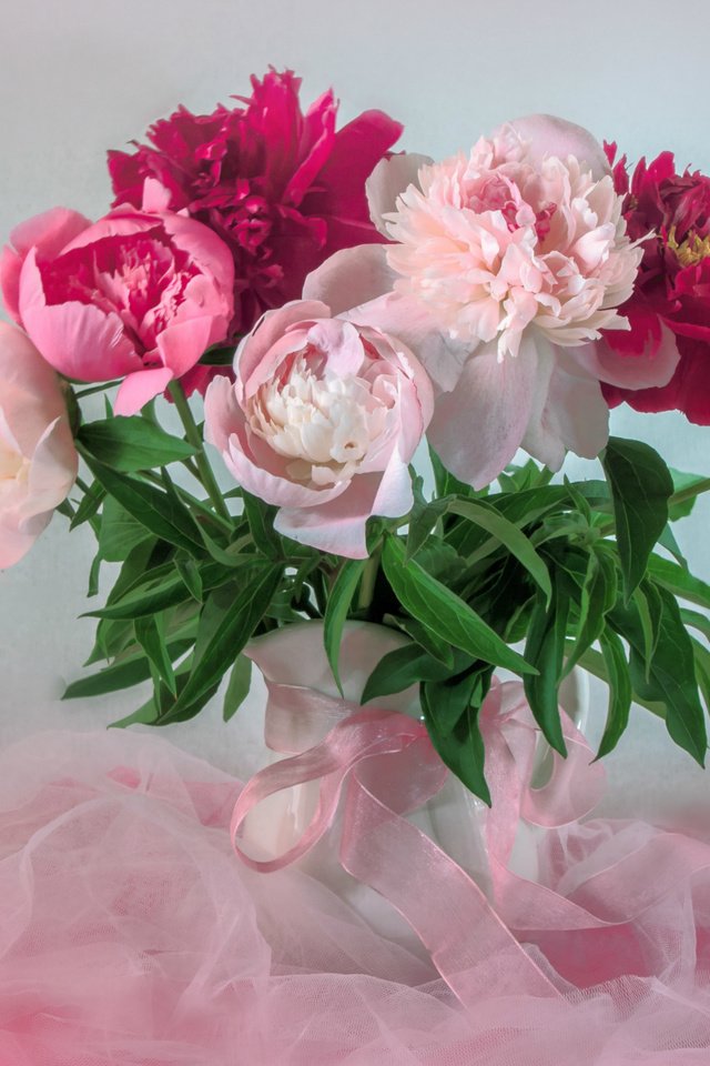 Обои букет, розовый, нежность, пионы, bouquet, pink, tenderness, peonies разрешение 1920x1287 Загрузить