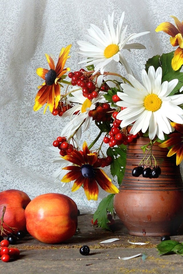 Обои ромашки, букет, натюрморт, калина, нектарины, рудбекия, арония, chamomile, bouquet, still life, kalina, nectarines, rudbeckia, aronia разрешение 1920x1225 Загрузить