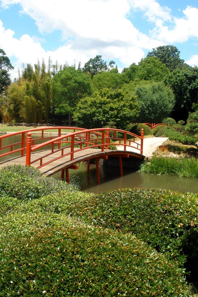 Обои деревья, парк, мост, пруд, австралия, japenese garden, toowoomba, trees, park, bridge, pond, australia разрешение 2400x1800 Загрузить