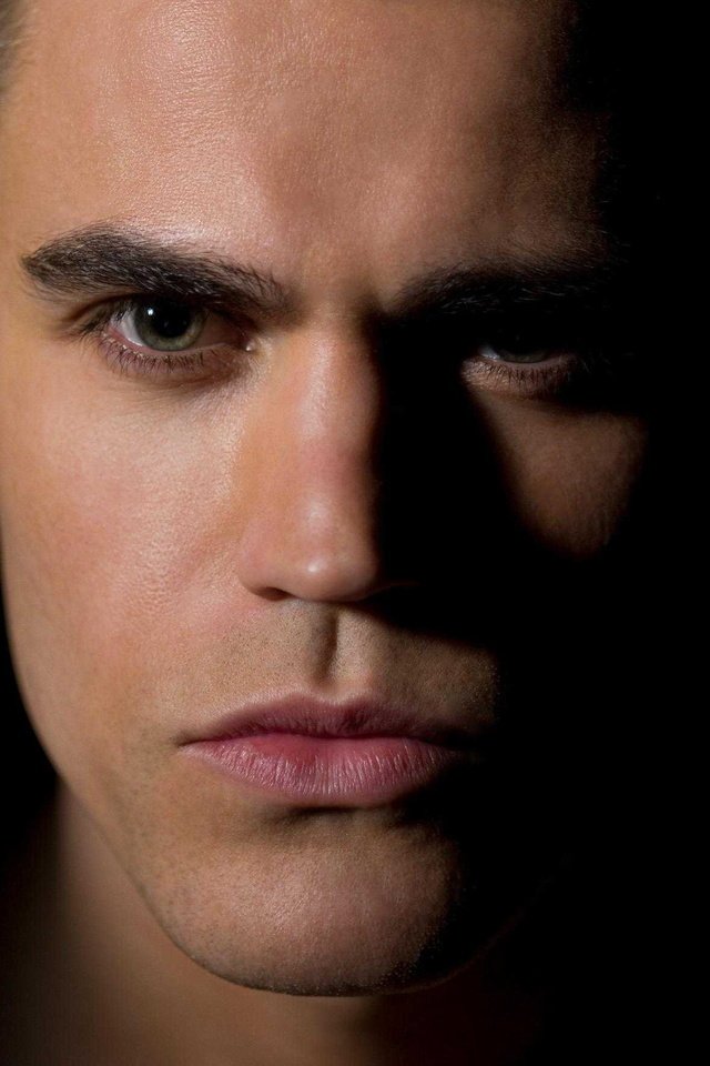 Обои портрет, взгляд, актёр, лицо, мужчина, пол уэсли, portrait, look, actor, face, male, paul wesley разрешение 2251x1771 Загрузить