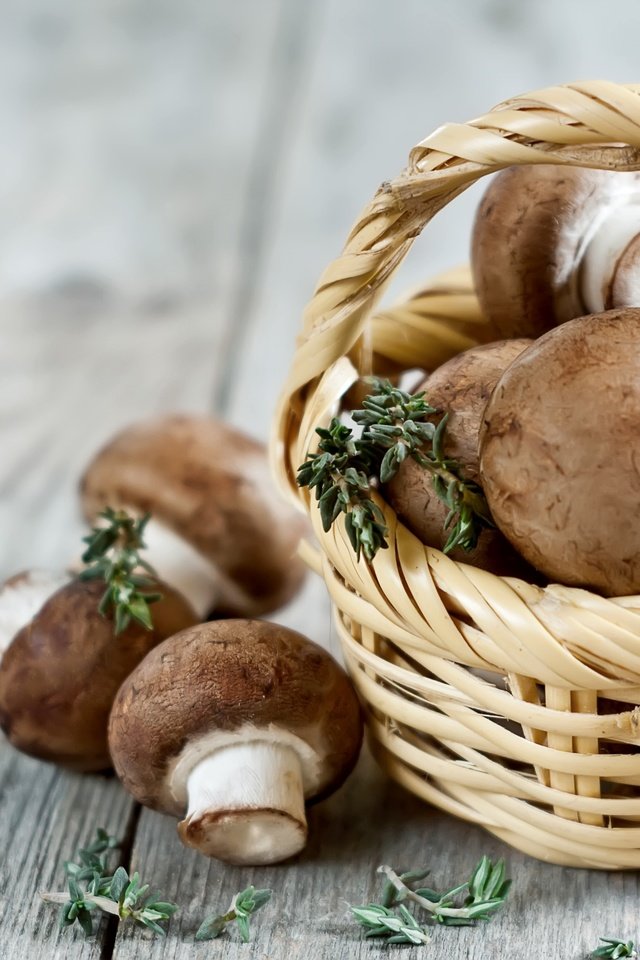 Обои грибы, корзинка, шампиньоны, портабелло, портобелло, mushrooms, basket, portabello, portobello разрешение 2700x1800 Загрузить