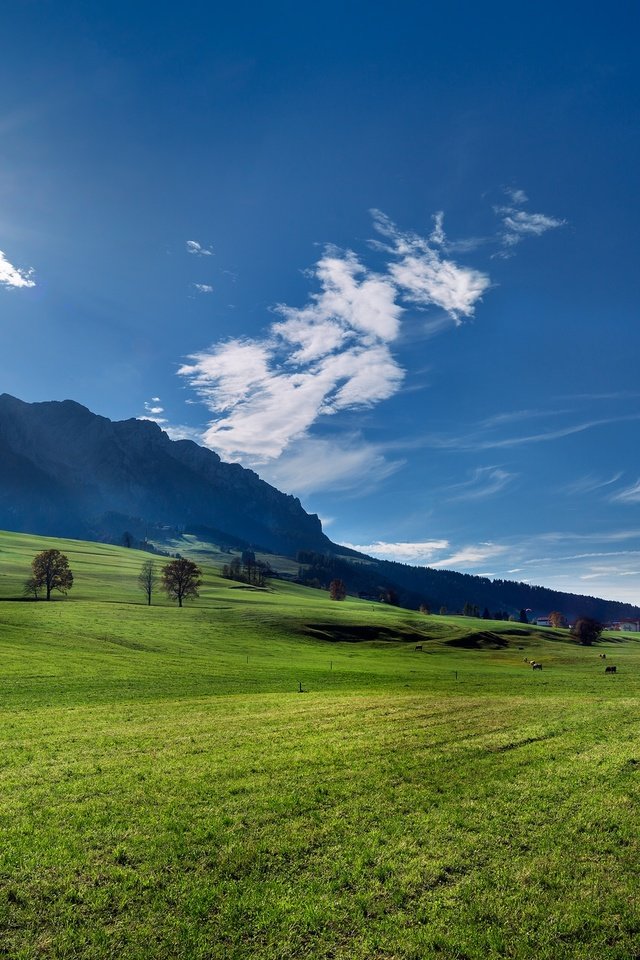 Обои горы, австрия, луг, альпы, mountains, austria, meadow, alps разрешение 2048x1296 Загрузить