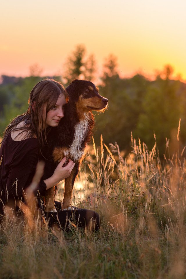 Обои природа, девушка, собака, nature, girl, dog разрешение 2048x1365 Загрузить