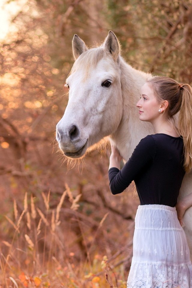 Обои природа, девушка, конь, nature, girl, horse разрешение 2048x1365 Загрузить