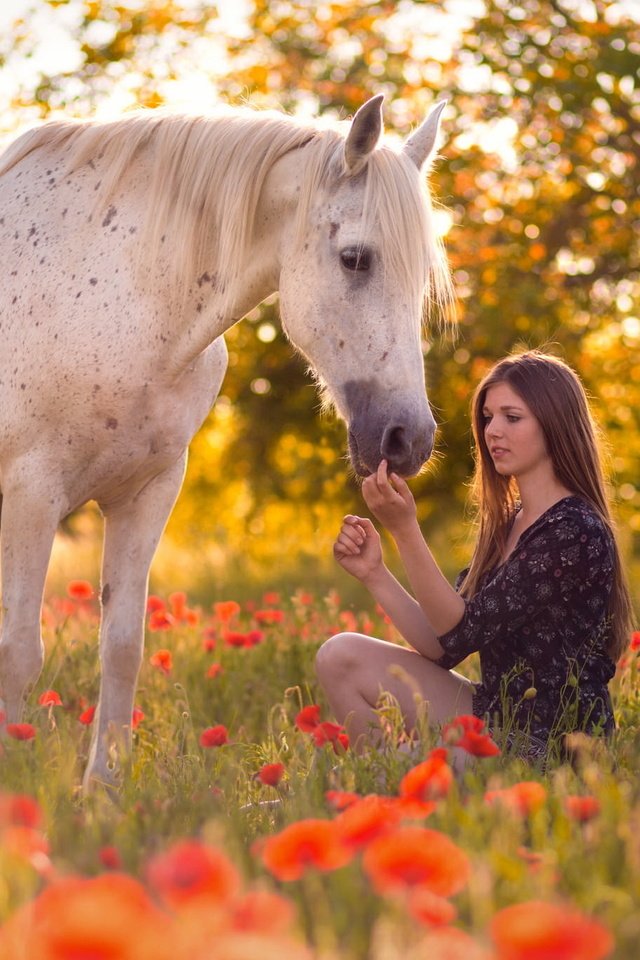 Девки и лошади. Фотосессия с лошадьми. Красивая фотосессия с лошадью. Красивая девушка на лошади. Фотосессия с лошадьми на природе.