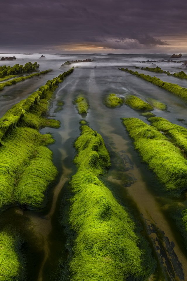 Обои скалы, камни, берег, море, водоросли, rocks, stones, shore, sea, algae разрешение 2048x1297 Загрузить