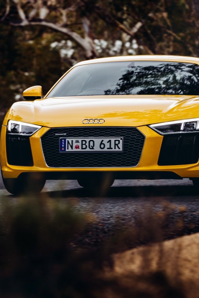 Обои желтый, ауди, v10, yellow, audi разрешение 4096x2731 Загрузить