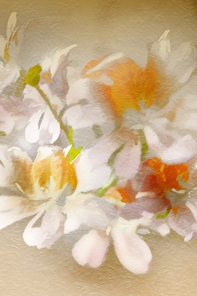Обои цветы, текстура, фон, flowers, texture, background разрешение 2560x1707 Загрузить