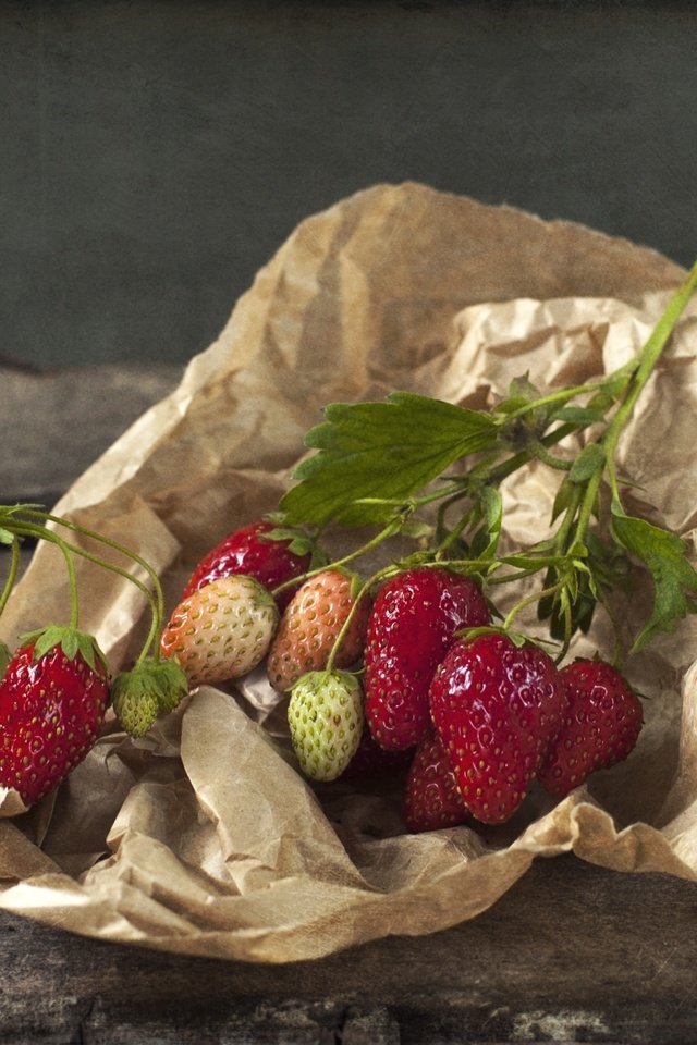 Обои клубника, бумага, ягоды, strawberry, paper, berries разрешение 2000x1298 Загрузить