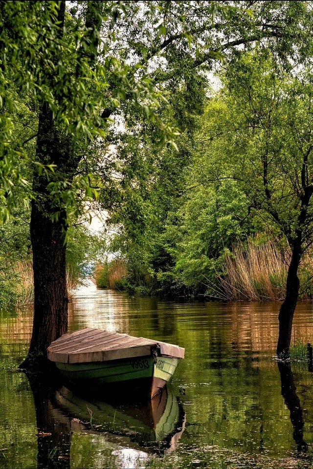 Обои деревья, река, австрия, лодка, форарльберг, trees, river, austria, boat, vorarlberg разрешение 2036x1357 Загрузить