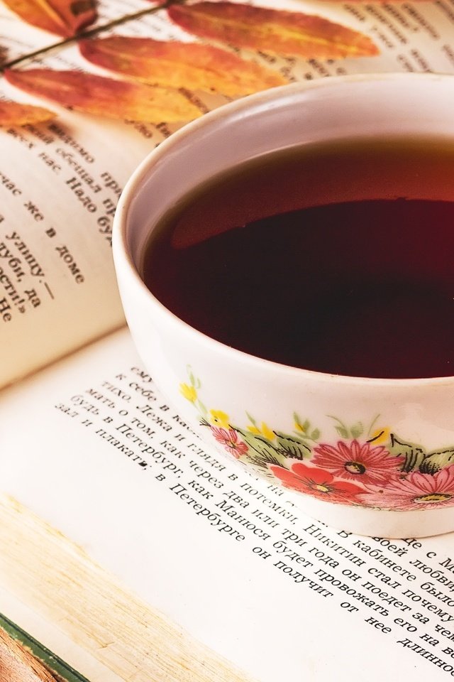 Обои листья, настроение, напиток, чашка, чай, книга, leaves, mood, drink, cup, tea, book разрешение 1920x1258 Загрузить