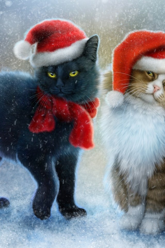 Обои арт, снег, коты, кошки, шарф, шапочки, колпак санты, art, snow, cats, scarf, beanie разрешение 4400x2842 Загрузить