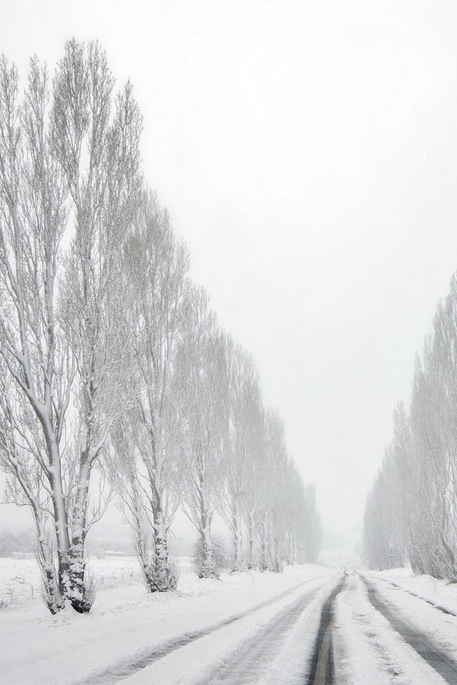 Обои дорога, деревья, снег, зима, road, trees, snow, winter разрешение 1920x1080 Загрузить