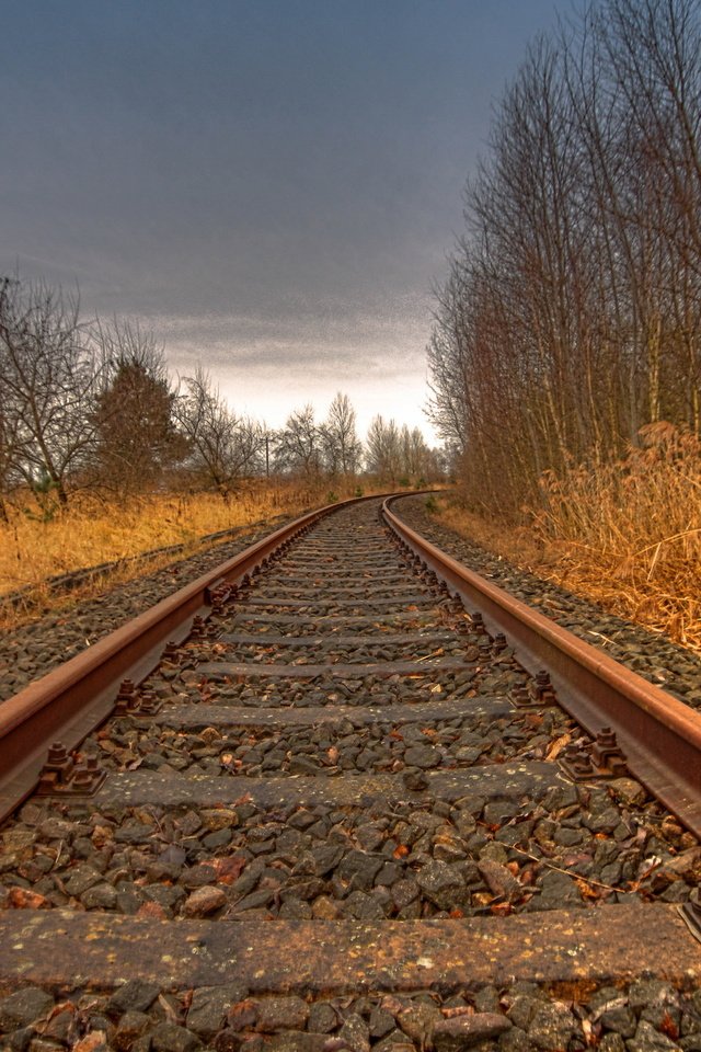 Обои деревья, железная дорога, рельсы, пейзаж, trees, railroad, rails, landscape разрешение 2560x1703 Загрузить