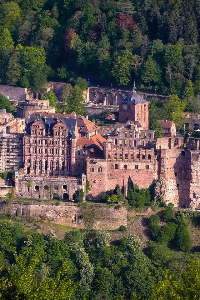 Обои деревья, лес, замок, вид сверху, германия, heidelberg castle, trees, forest, castle, the view from the top, germany разрешение 2048x1536 Загрузить