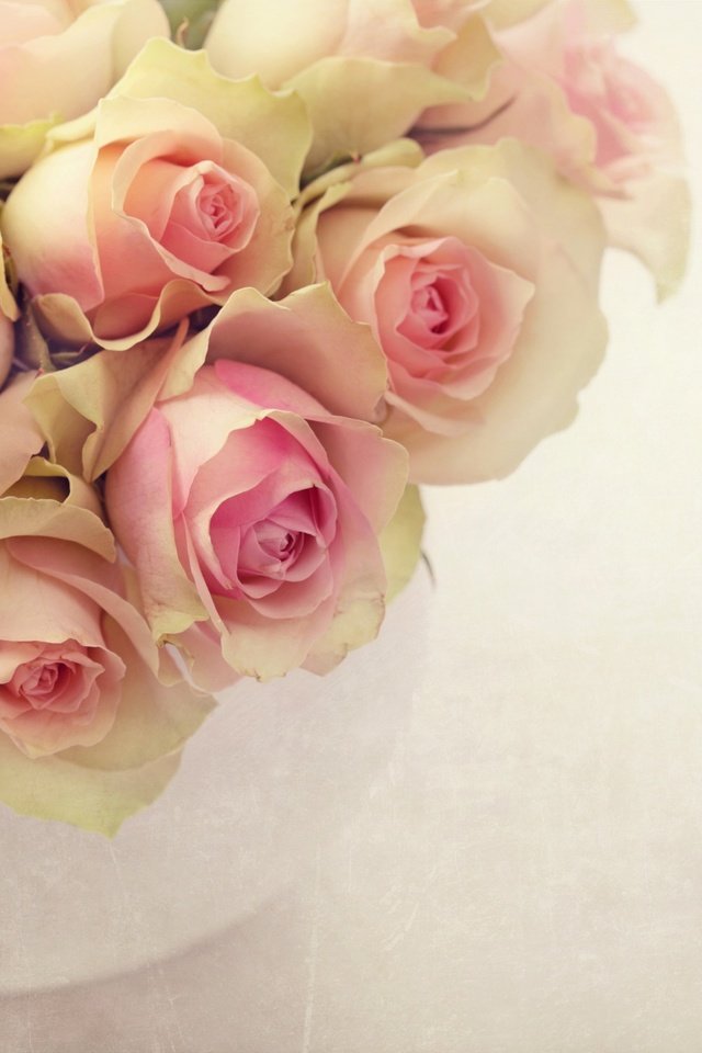 Обои розы, букет, розовый, ваза, roses, bouquet, pink, vase разрешение 2560x1706 Загрузить