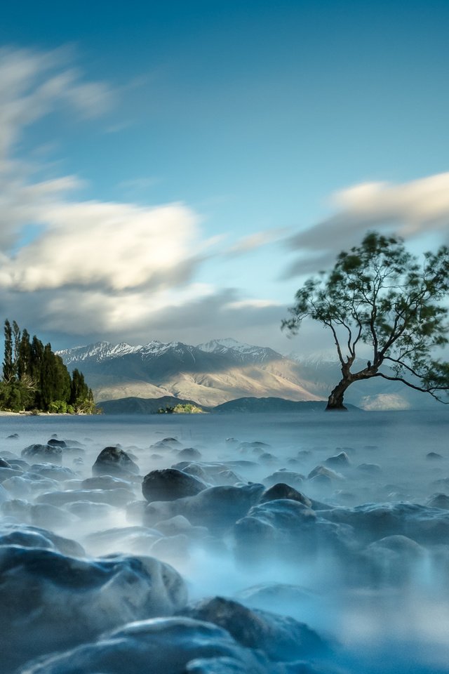 Обои река, дерево, туман, river, tree, fog разрешение 2048x1365 Загрузить