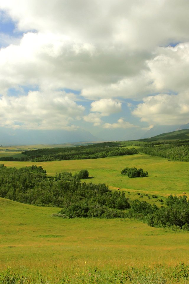 Обои облака, горы, лес, поля, канада, луга, провинция альберта, clouds, mountains, forest, field, canada, meadows, alberta разрешение 3200x1900 Загрузить