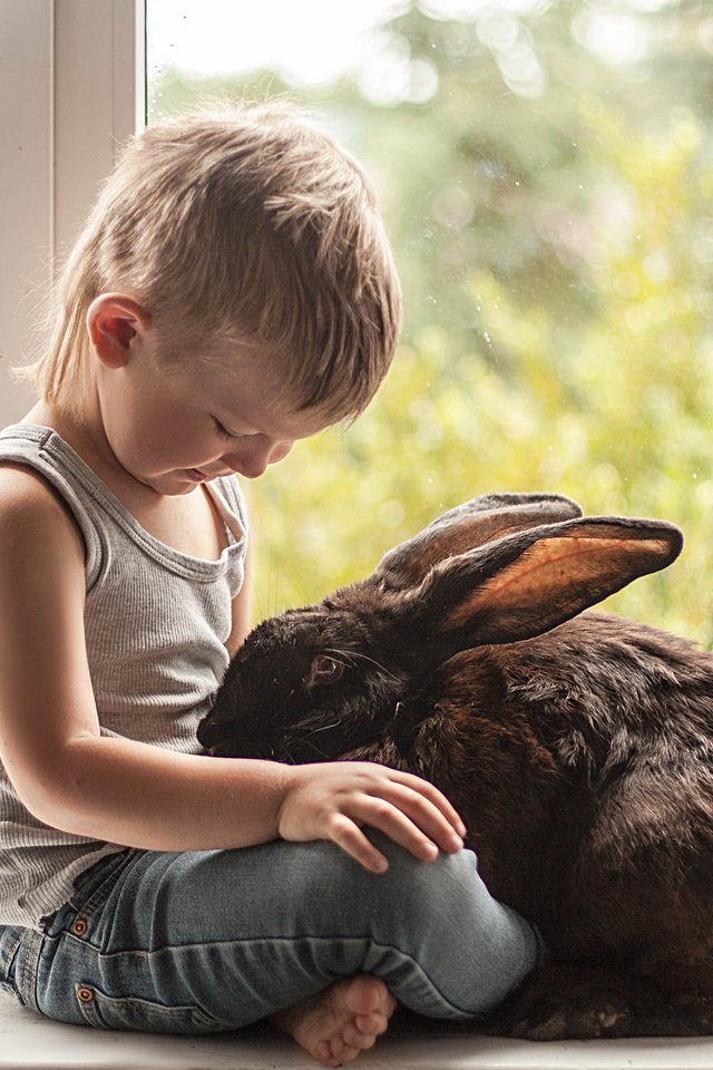 Кролик ребенку 4 лет. Кролик мальчик. Кролик для детей. Фотосессия с кроликом детская мальчики. Кролики малыши.